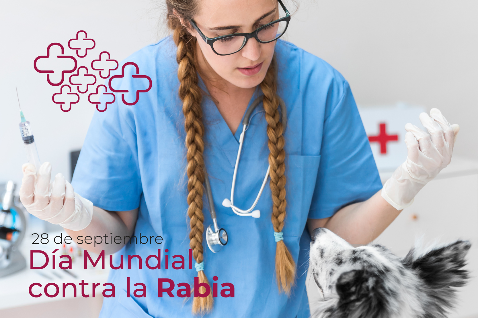 28 de septiembre. Día Mundial contra la Rabia 